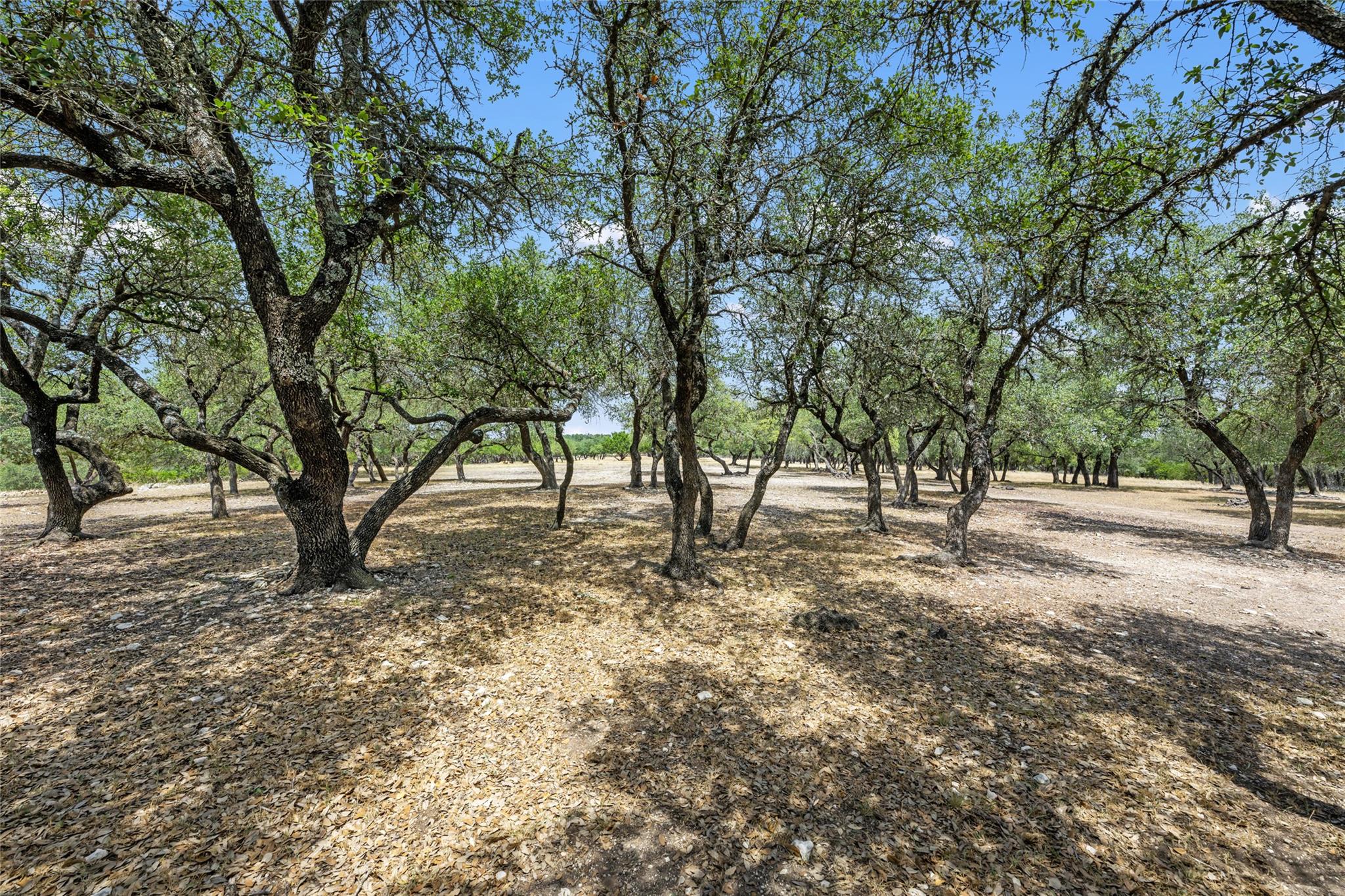 Listing photo 1 of 0000  South Oak Forest Dr
