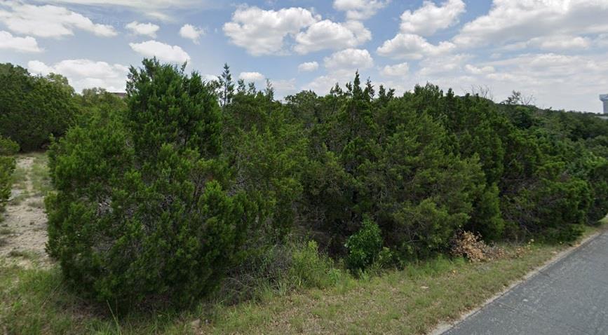View of tree filled area