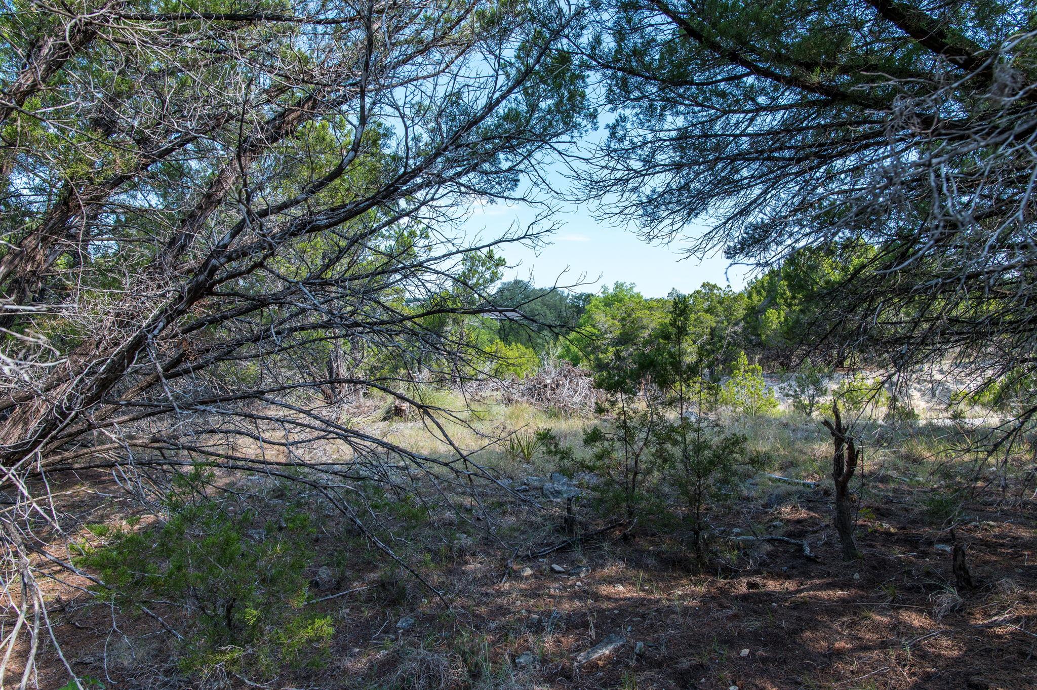 View of undeveloped land