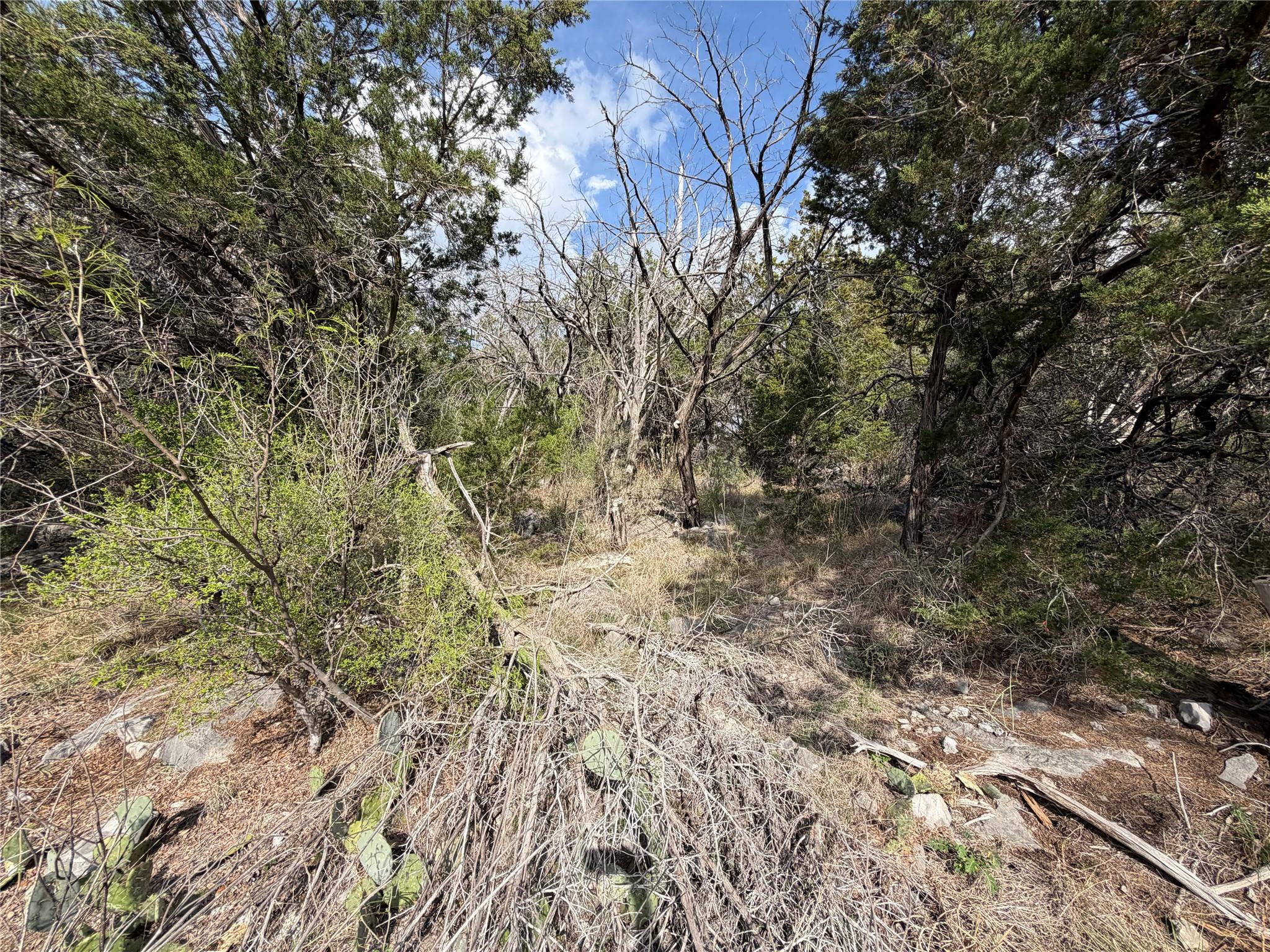 View of nature