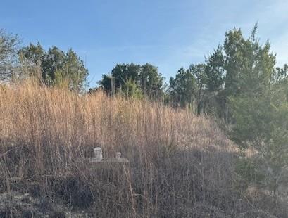 View of undeveloped land