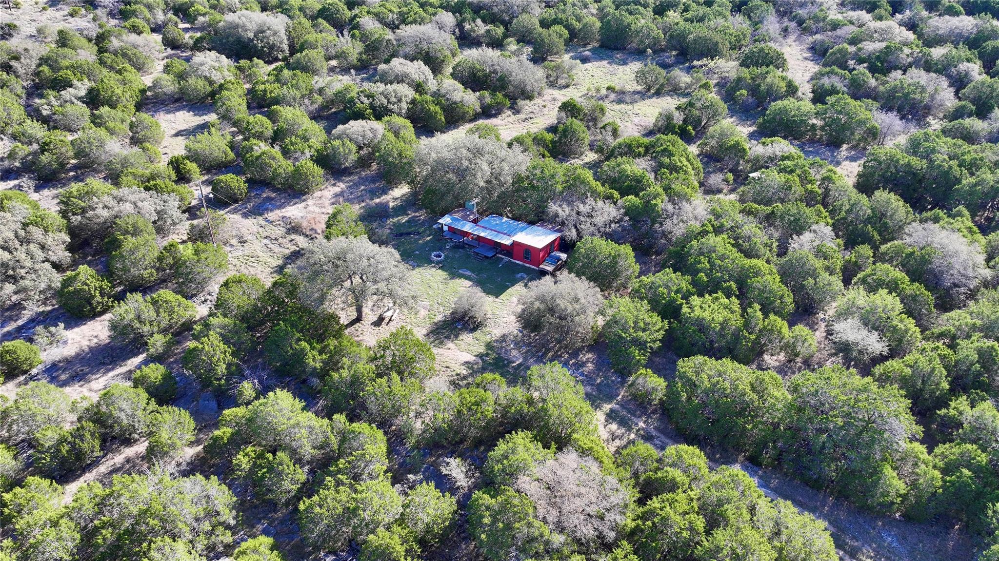 Aerial view of a forest