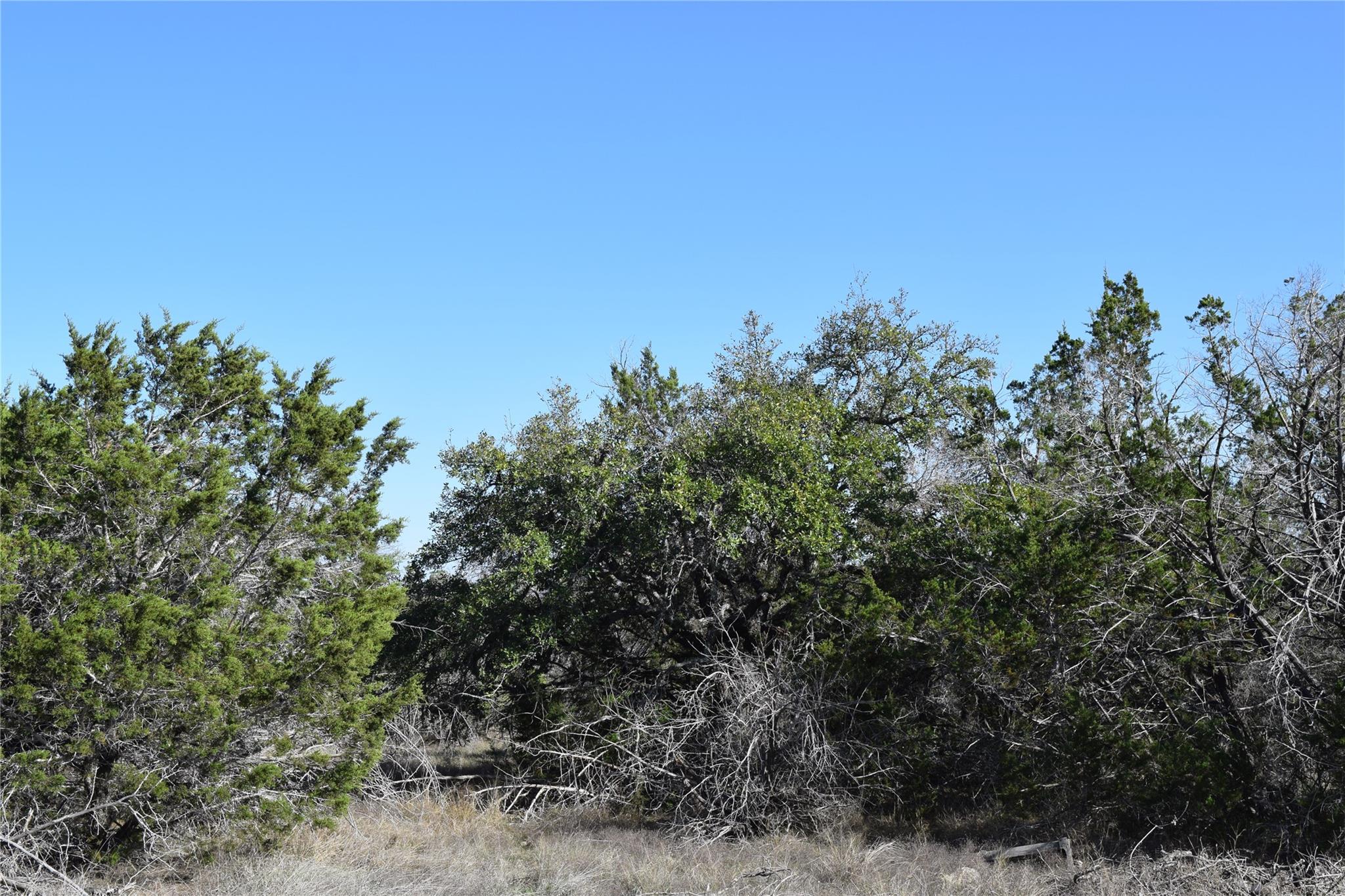 Listing photo 1 of TBD  Cheyenne Trl