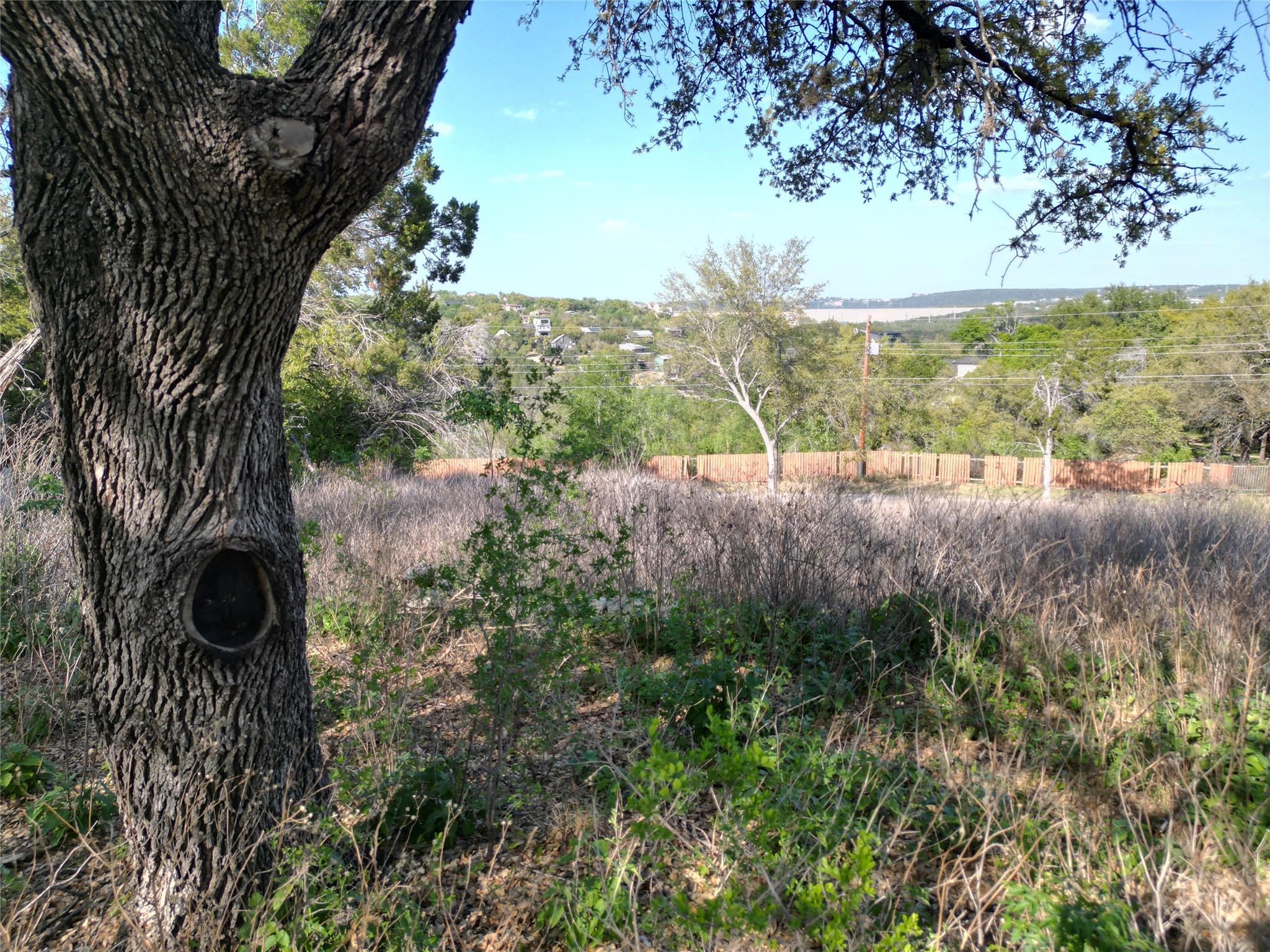 Expansive undeveloped parcel featuring mature tre