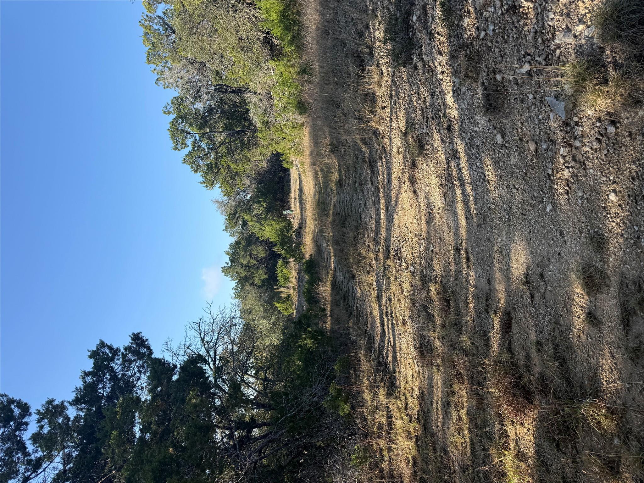 View of undeveloped land