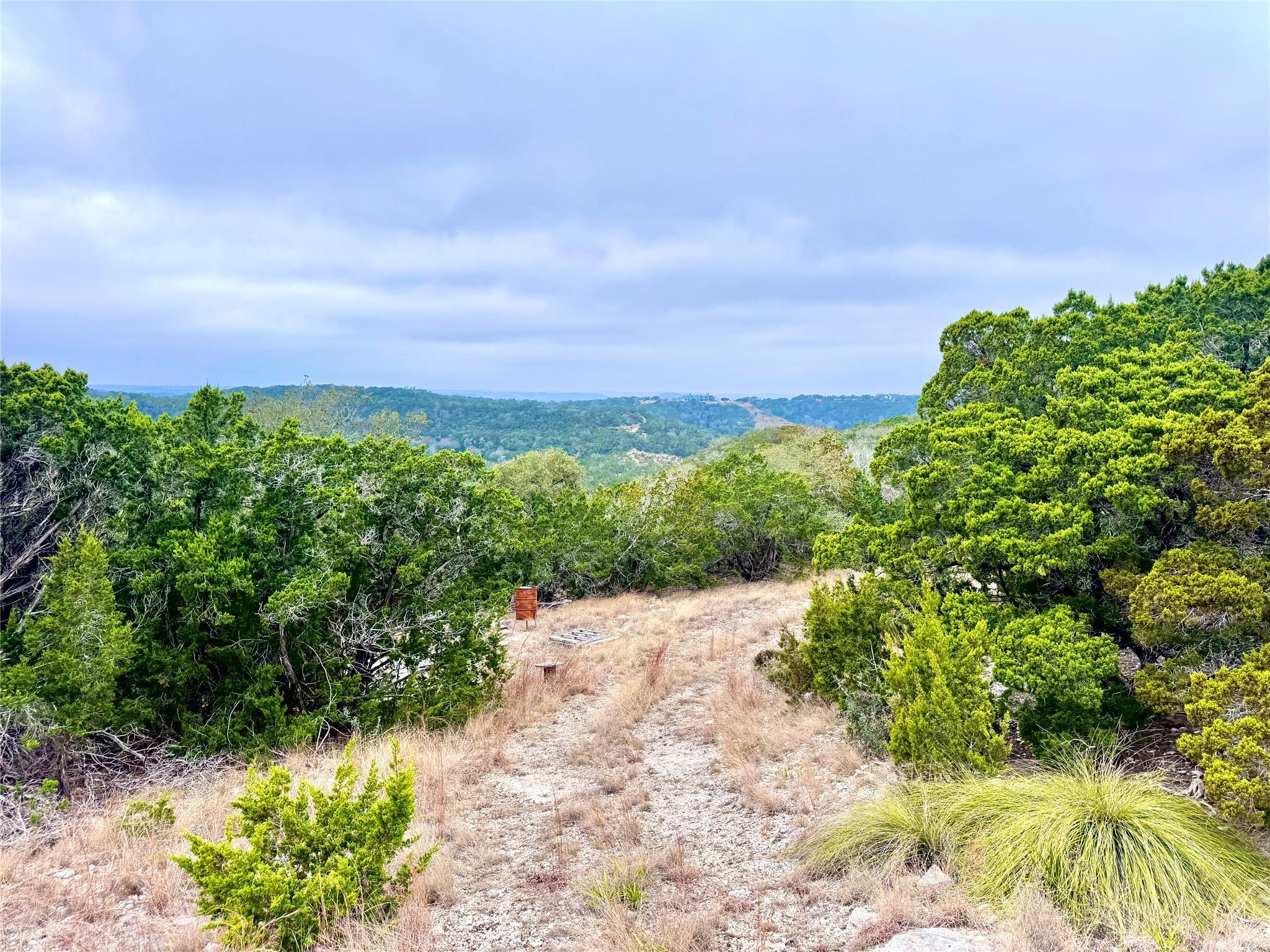 View of mountain backdrop featuring a forest