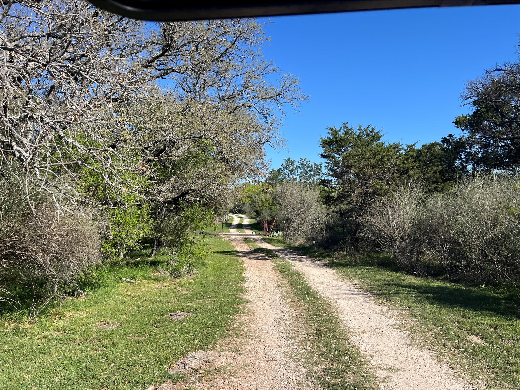 View of road
