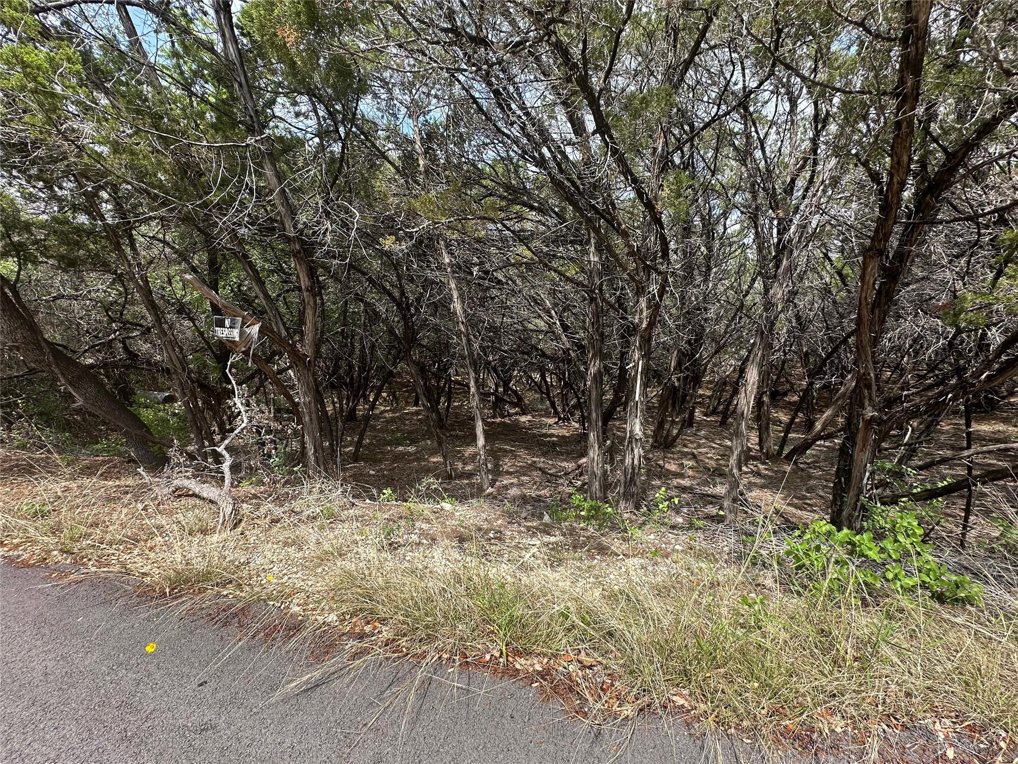 Wooded lot featuring mature trees and natural gro