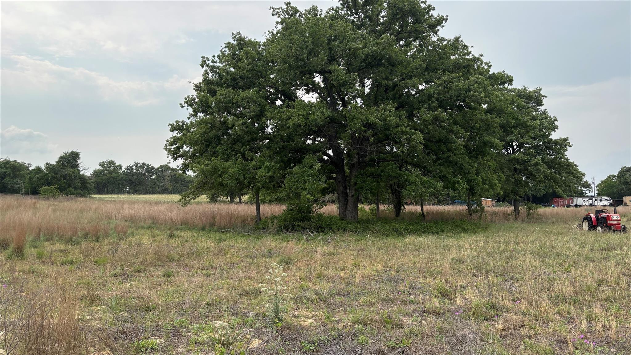 Mature shade trees anchor this expansive open par