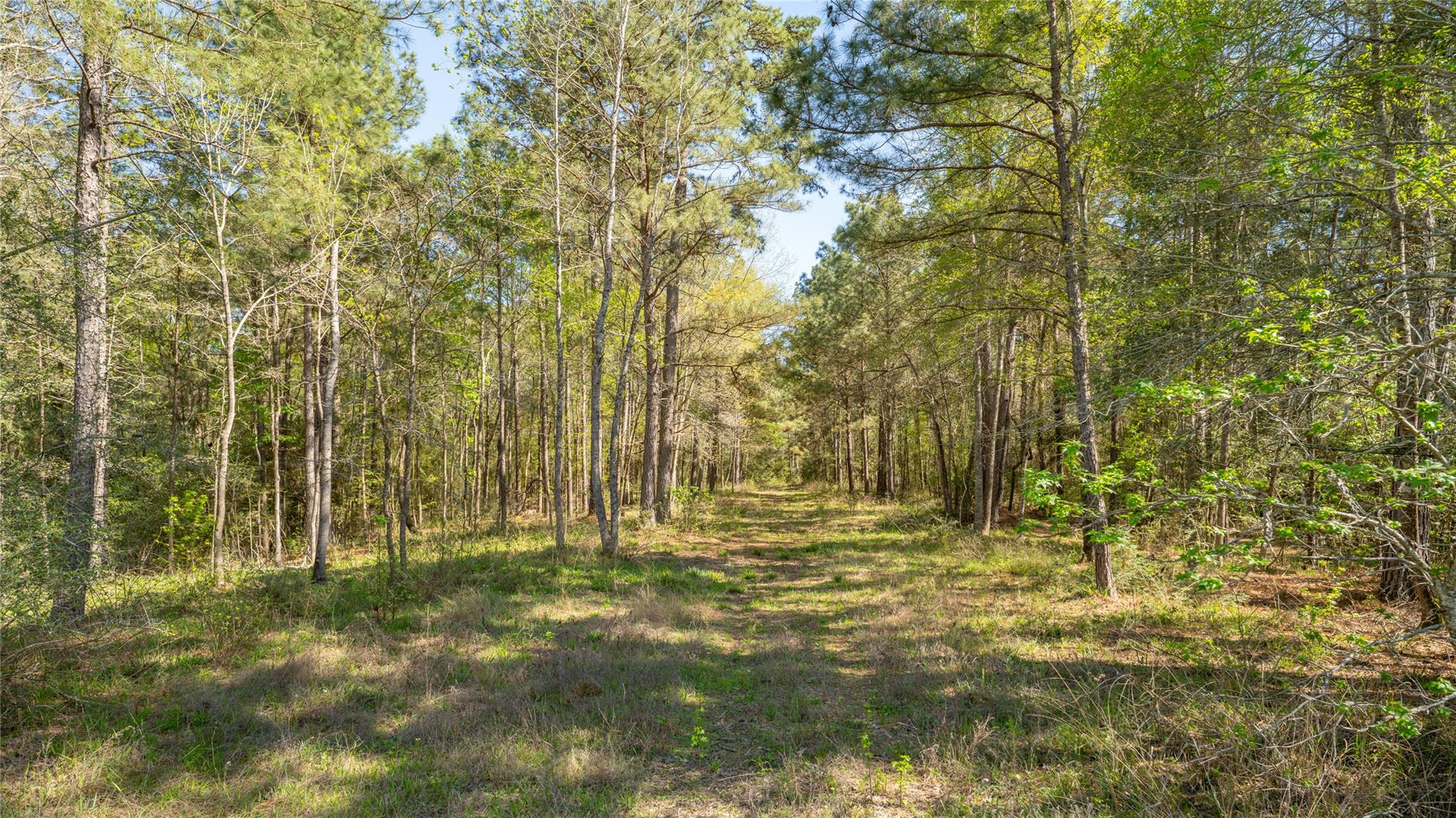 Listing photo 1 of 000  Bighorn Rd