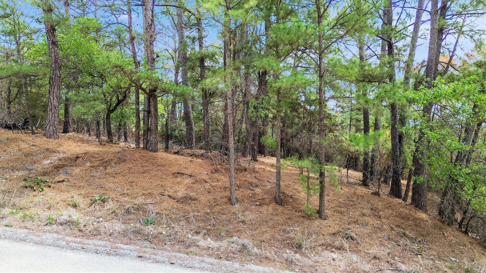 Listing photo 1 of 141  Kamaiki Dr