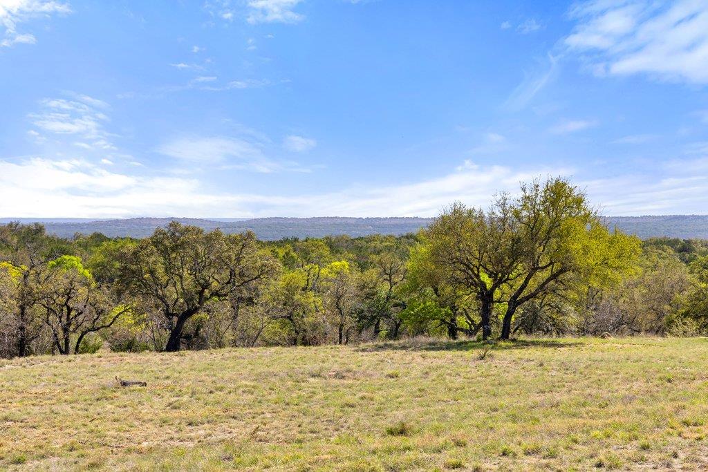 Mountain view featuring a heavily wooded area
