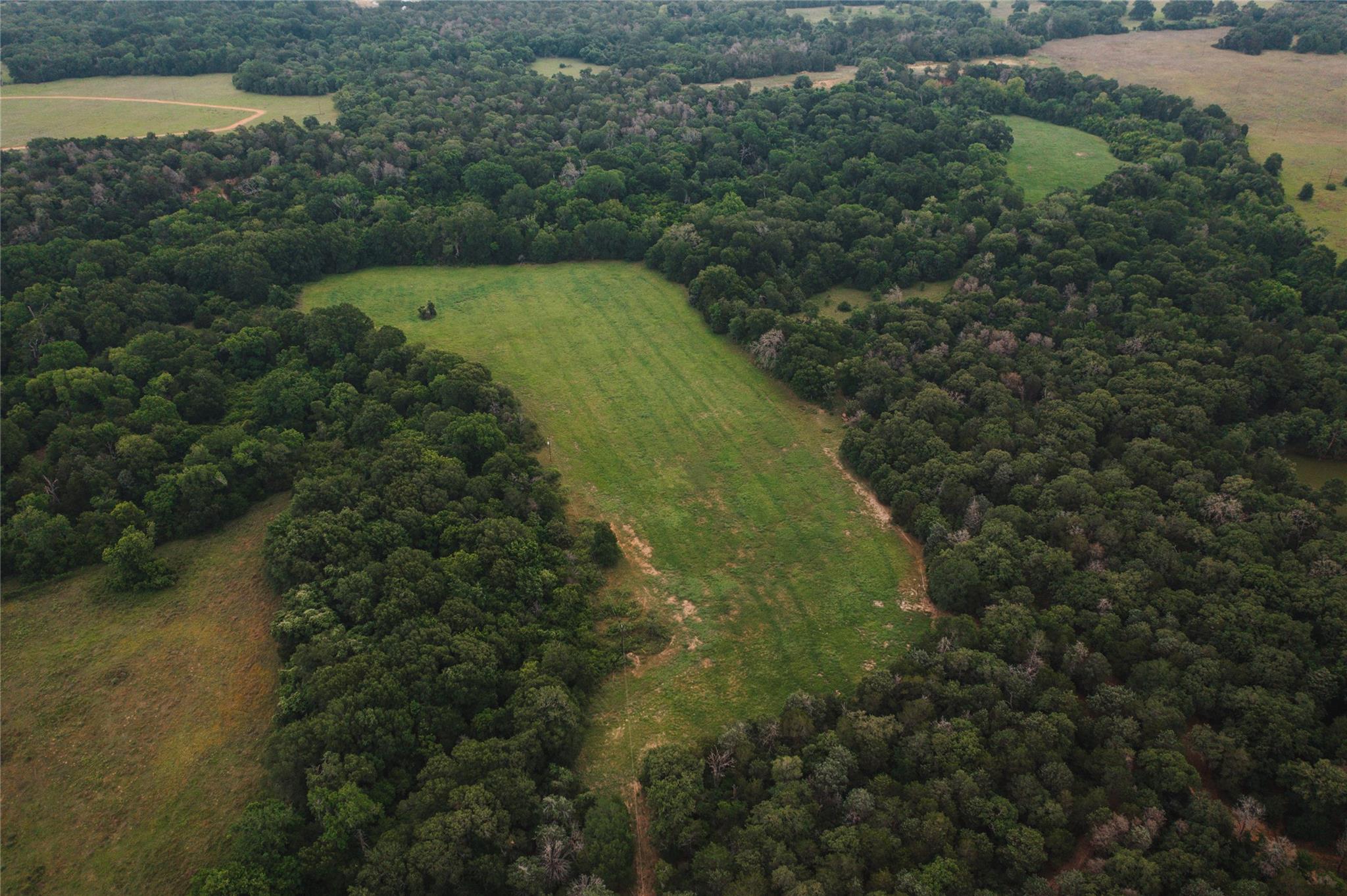 Aerial view of a heavily wooded area
