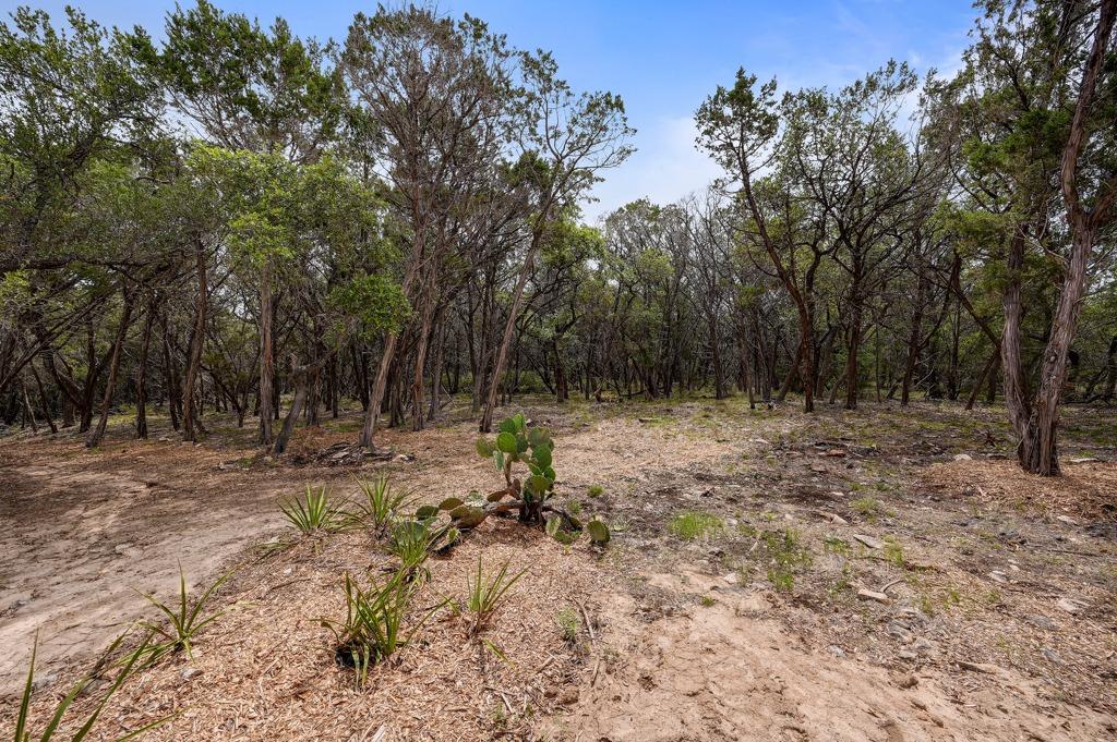 Wooded property featuring mature trees, natural g