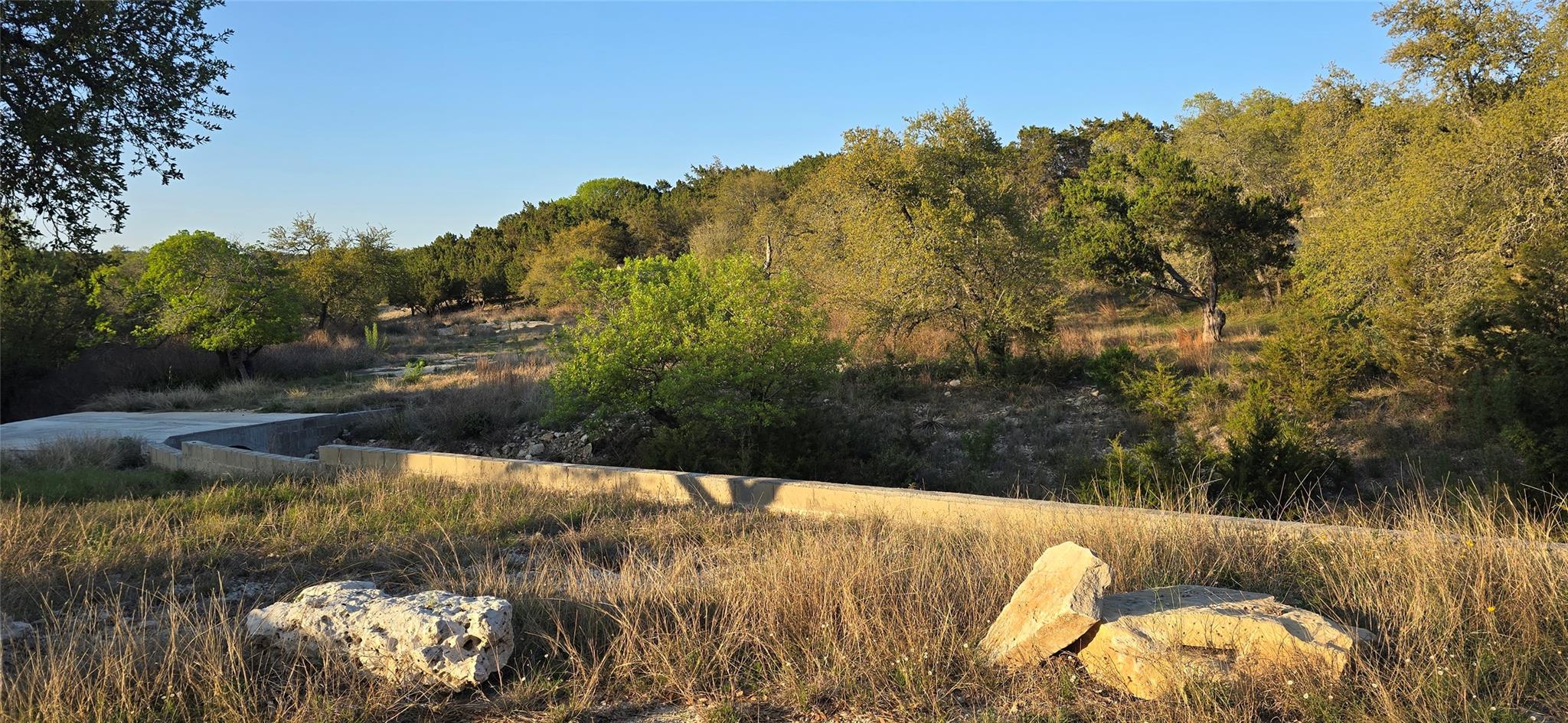 View of local wilderness