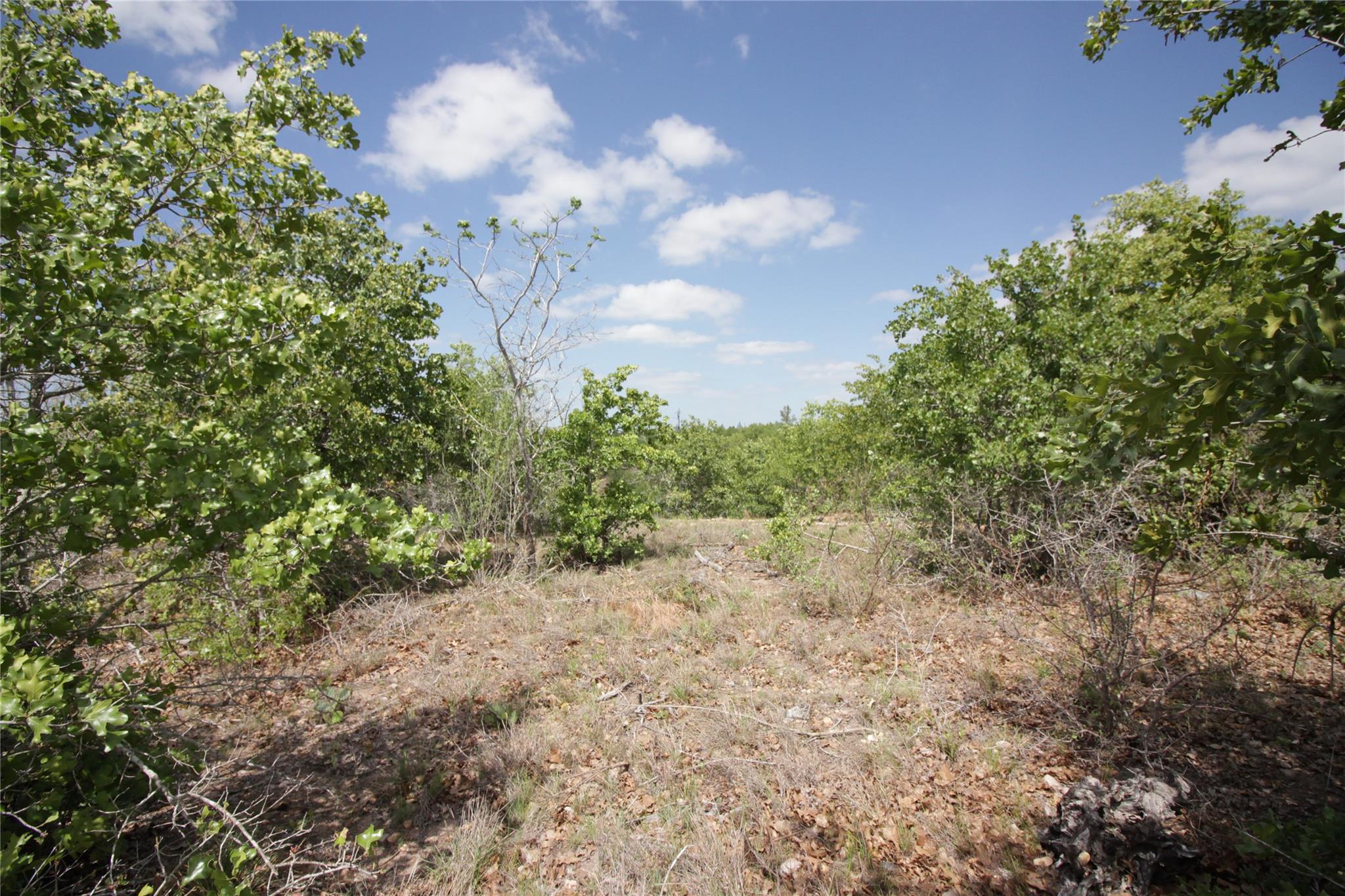 View of undeveloped land