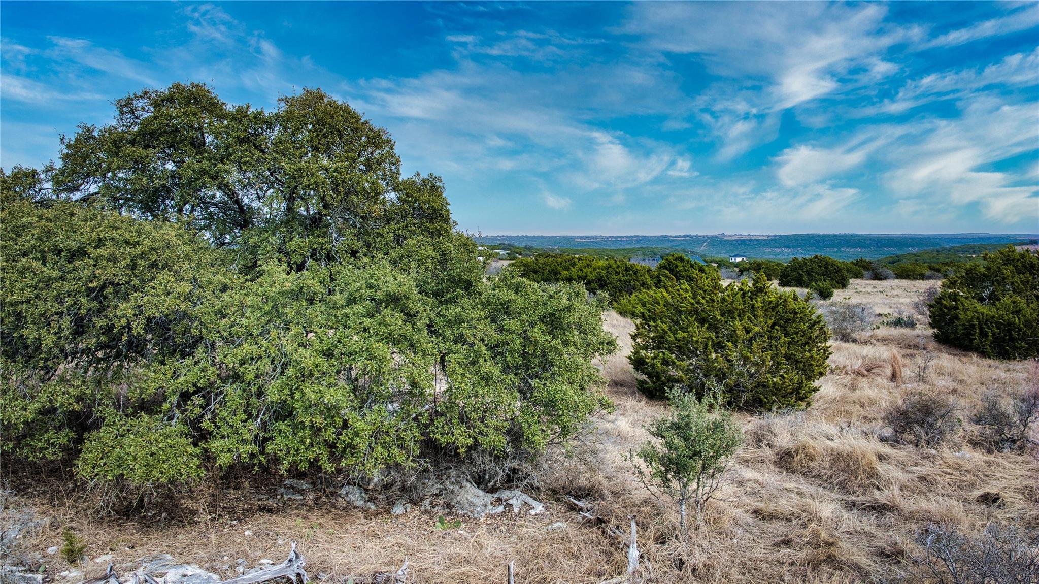 View of undeveloped land