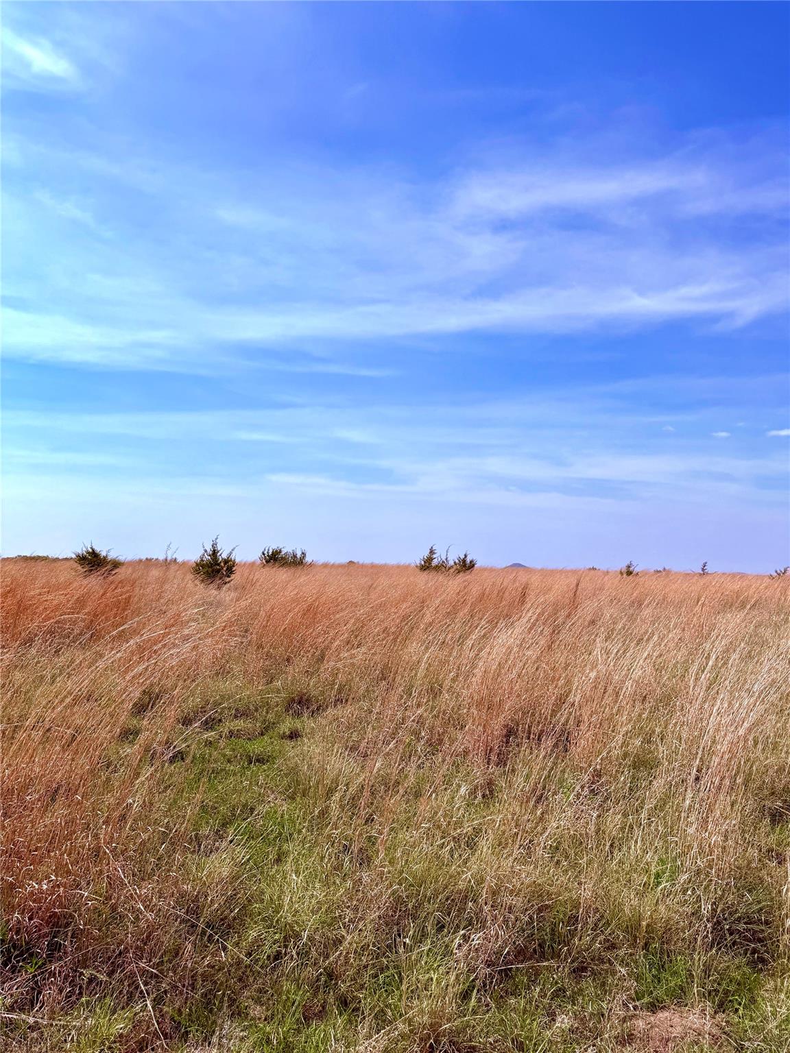 View of local wilderness featuring rural landscape
