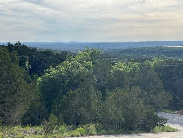 View of mountain background featuring a forest