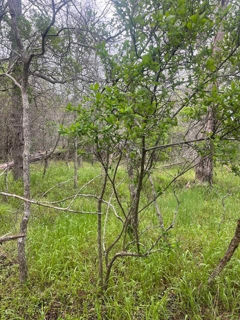 Listing photo 1 of Lot 628  Hilea Ct