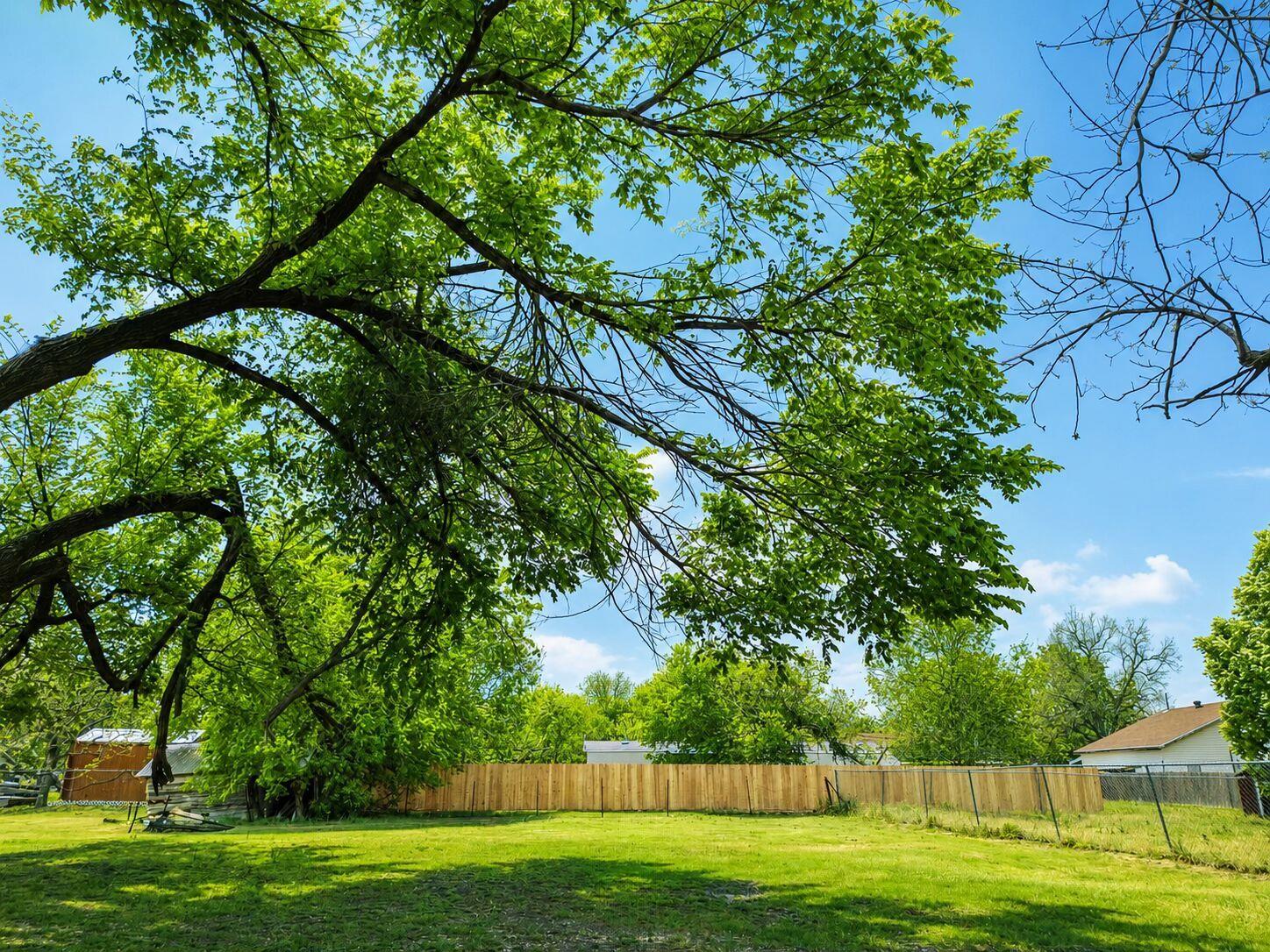 A verdant backyard with mature trees and new fenc