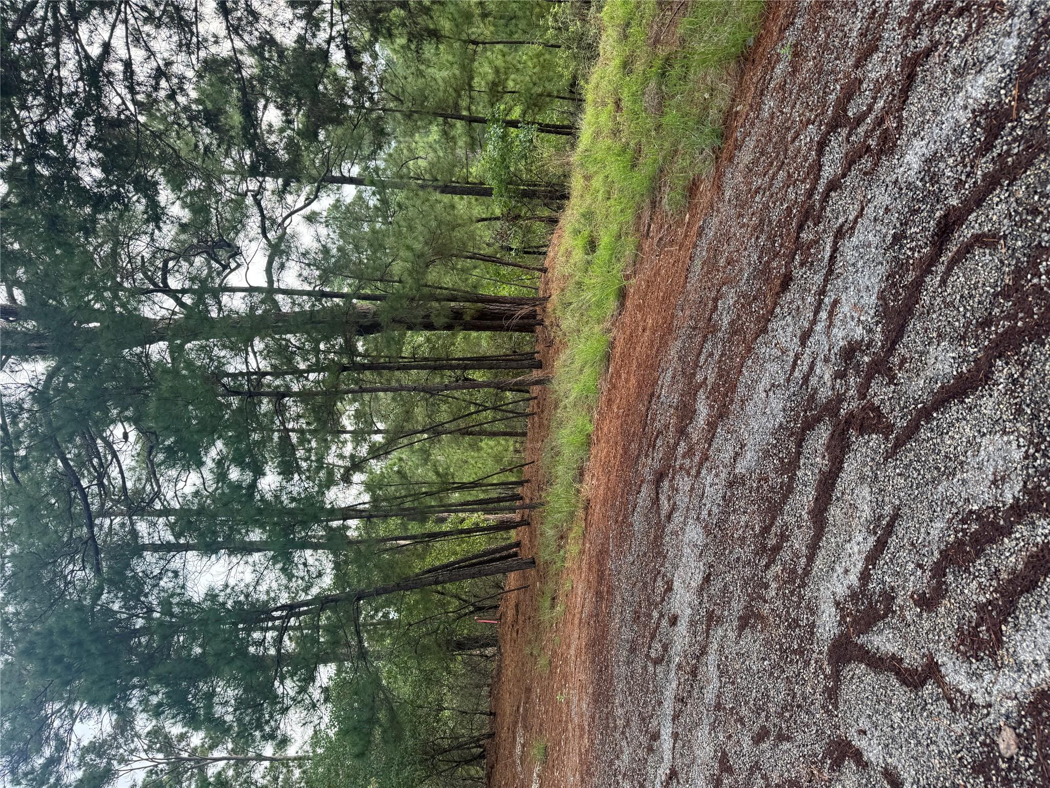 View of undeveloped land