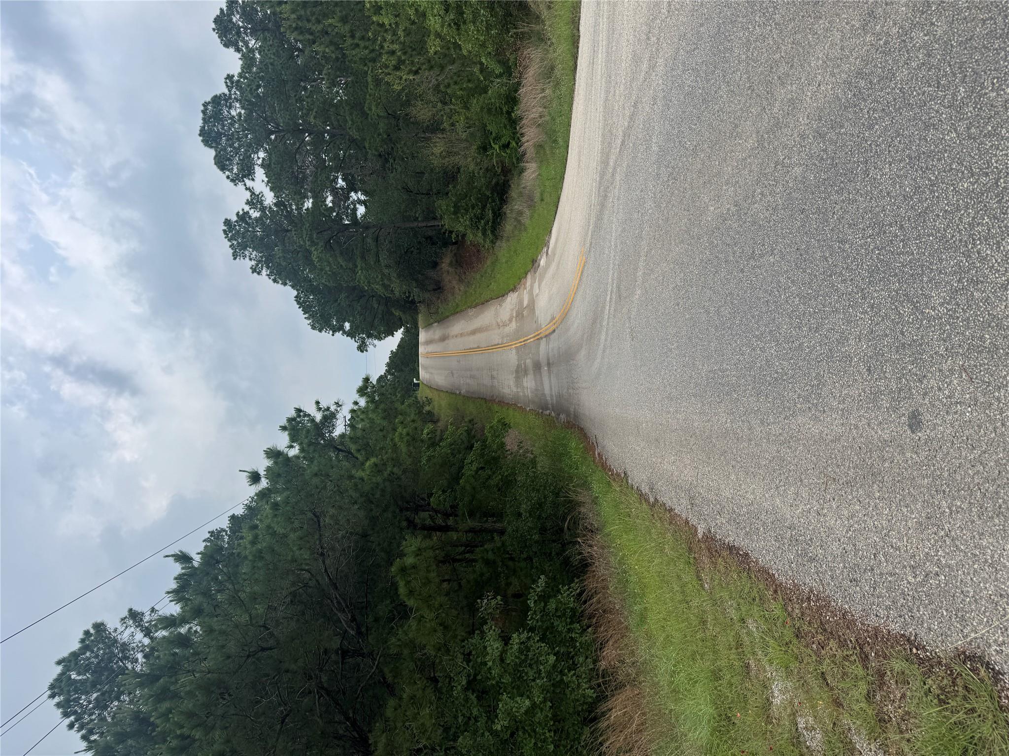View of street featuring a view of trees