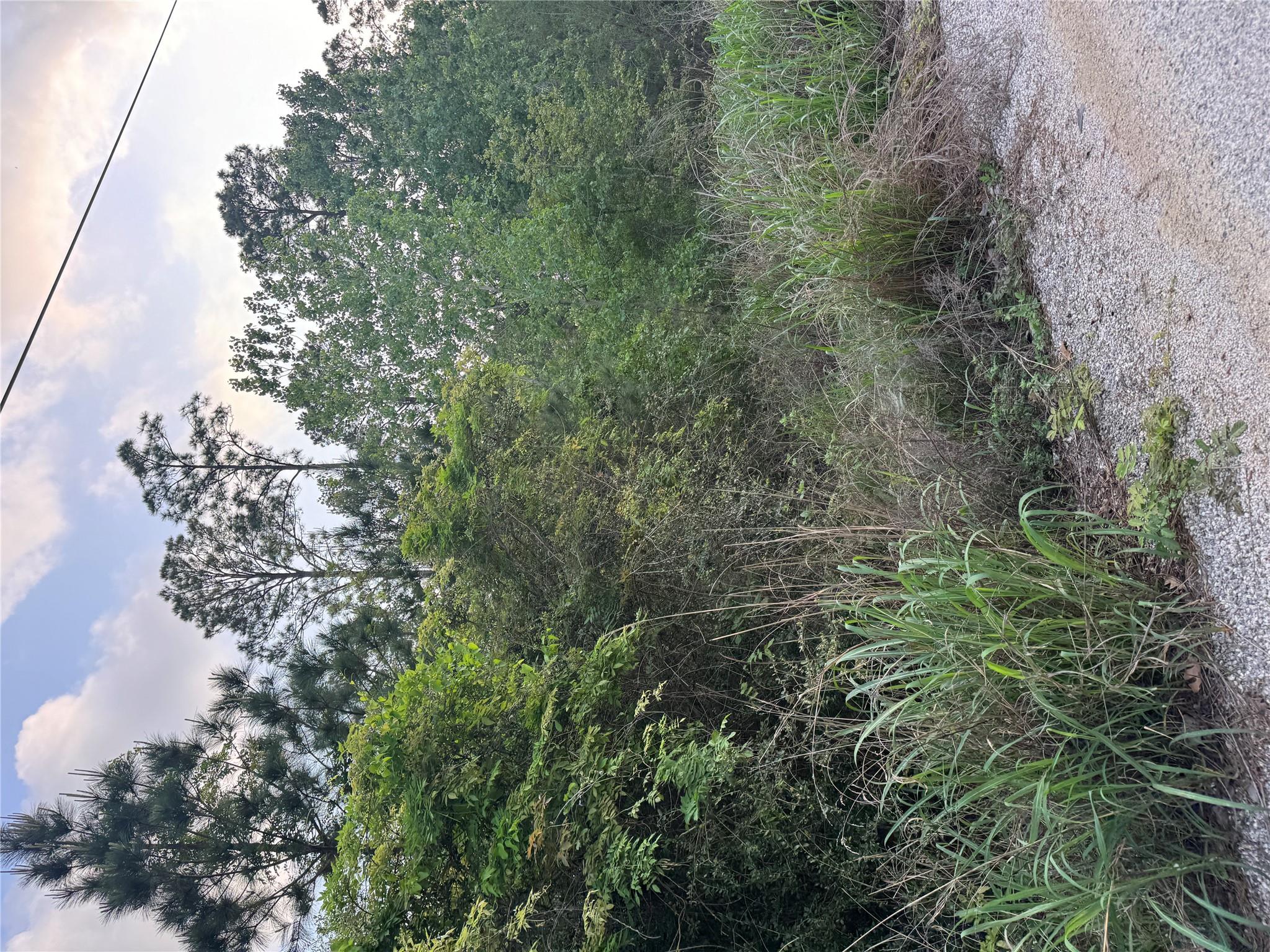 View of nature