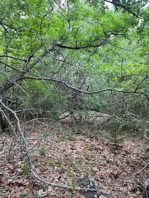 Listing photo 1 of Lot 1603  Ulupau Cir