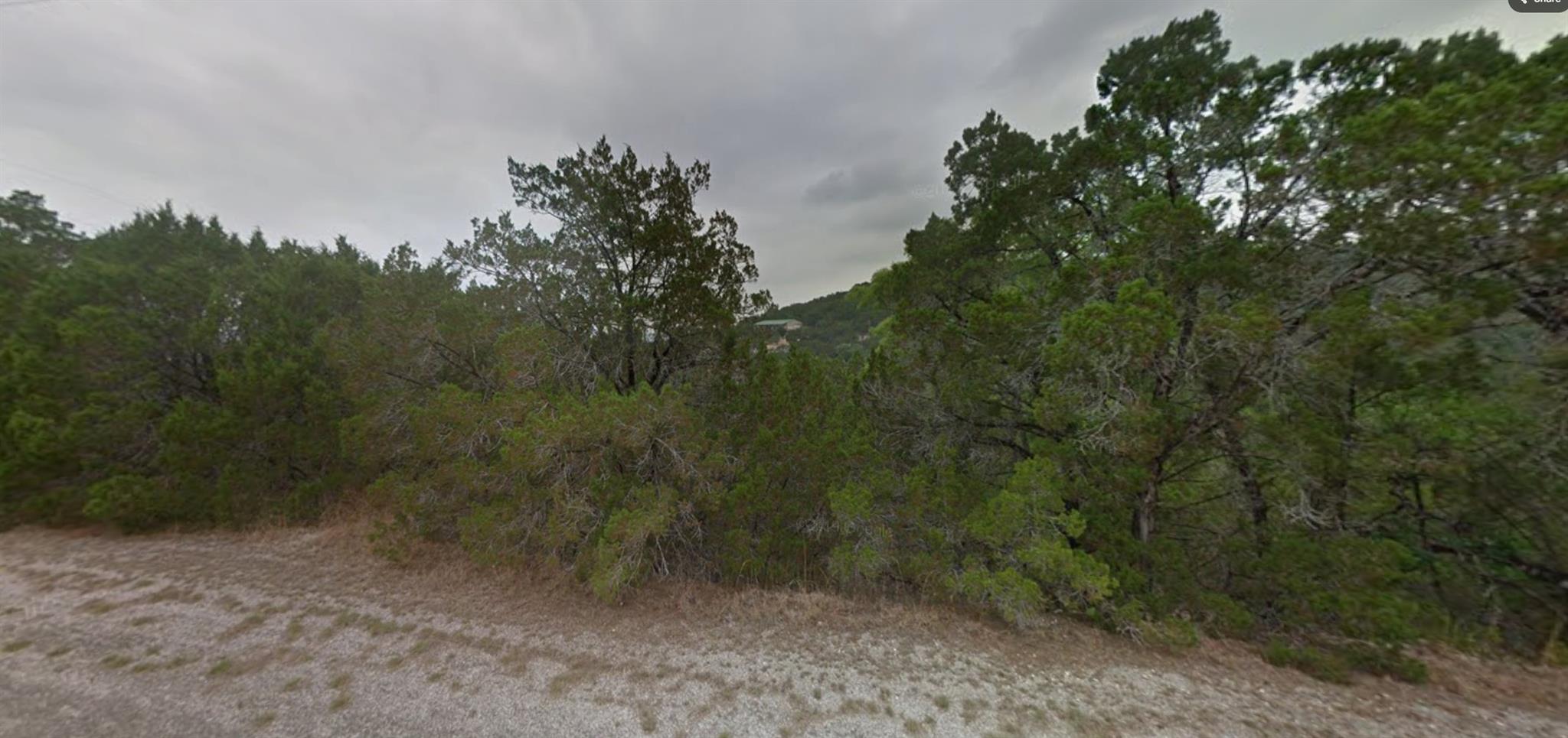 View of wooded area