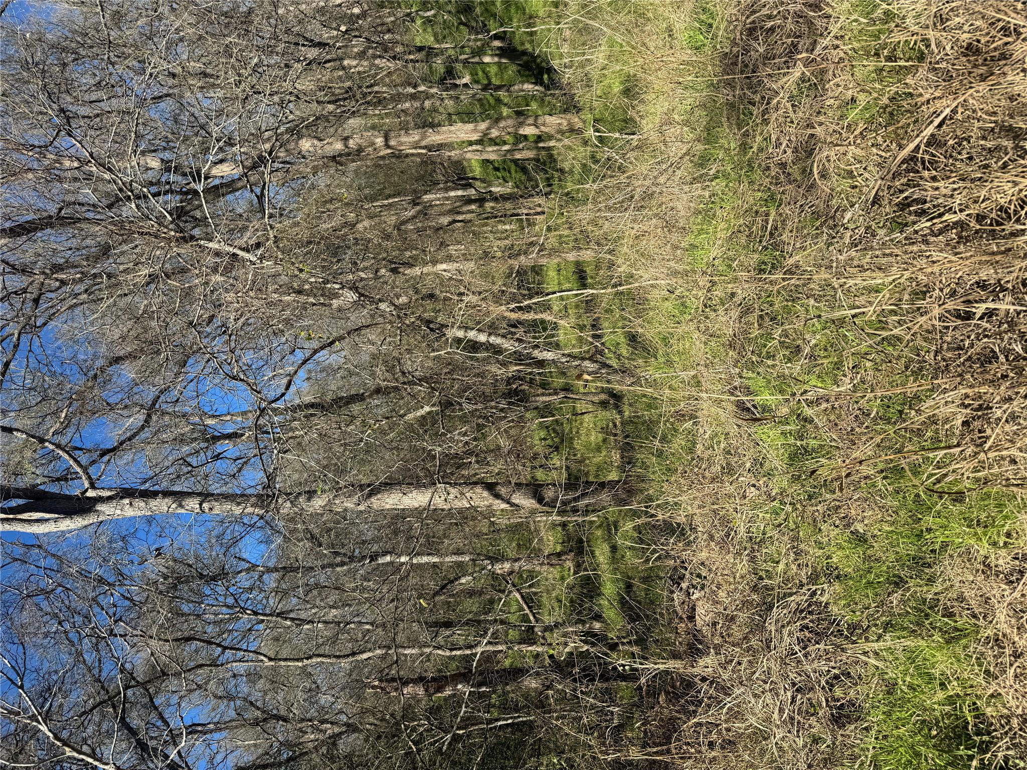 View of local wilderness