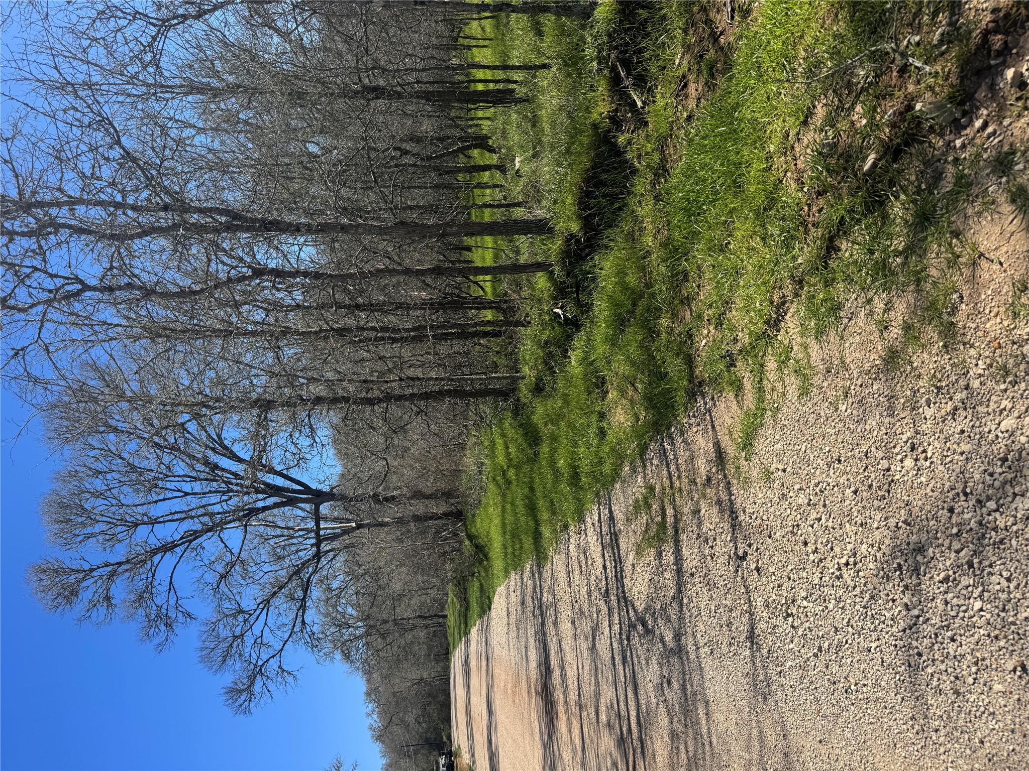 View of road
