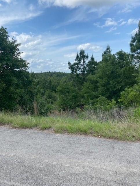 Listing photo 1 of Lot 4  Kainalu Ln