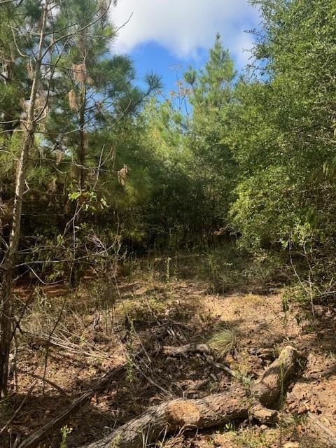 Listing photo 1 of Lot 1339  Tahitian Dr