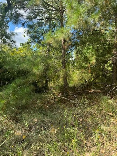 Listing photo 1 of Lot 1338  Tahitian Dr