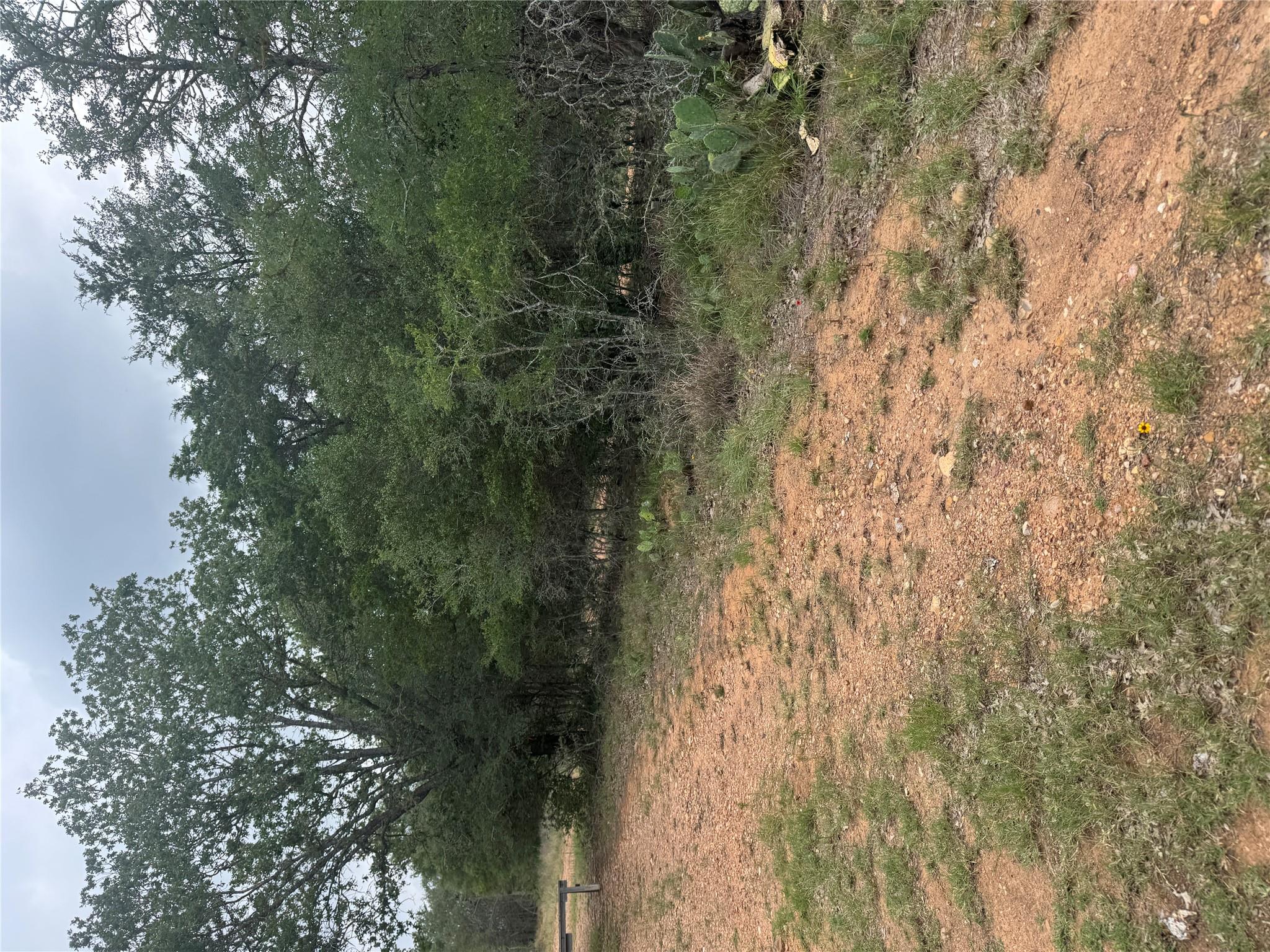 View of undeveloped land