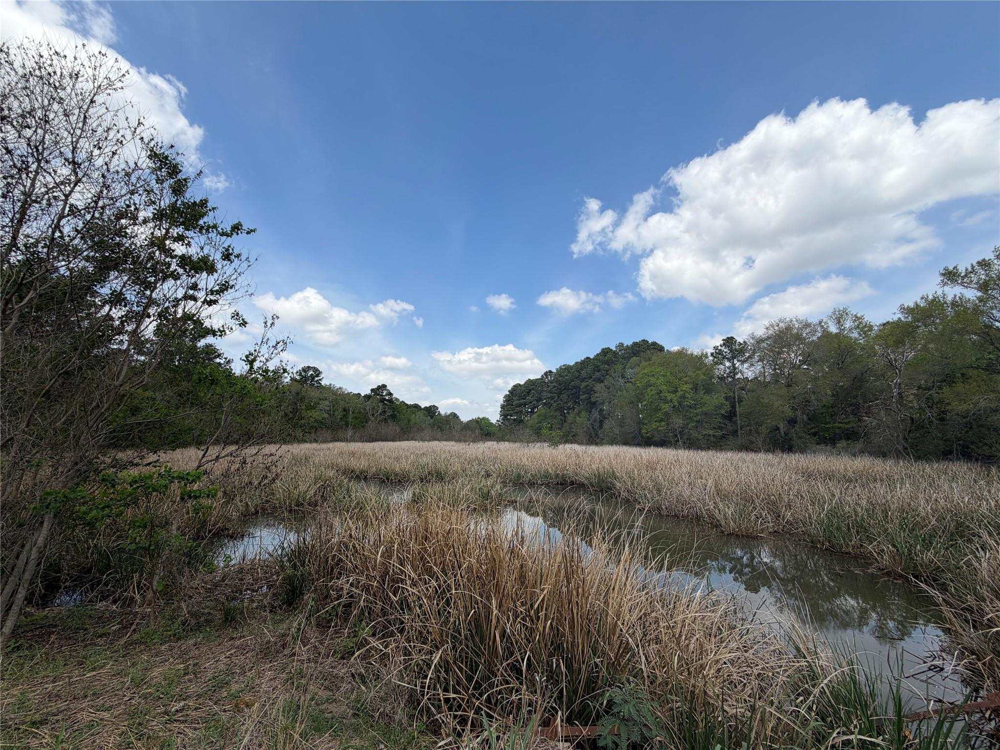 View of wooded area featuring a water view