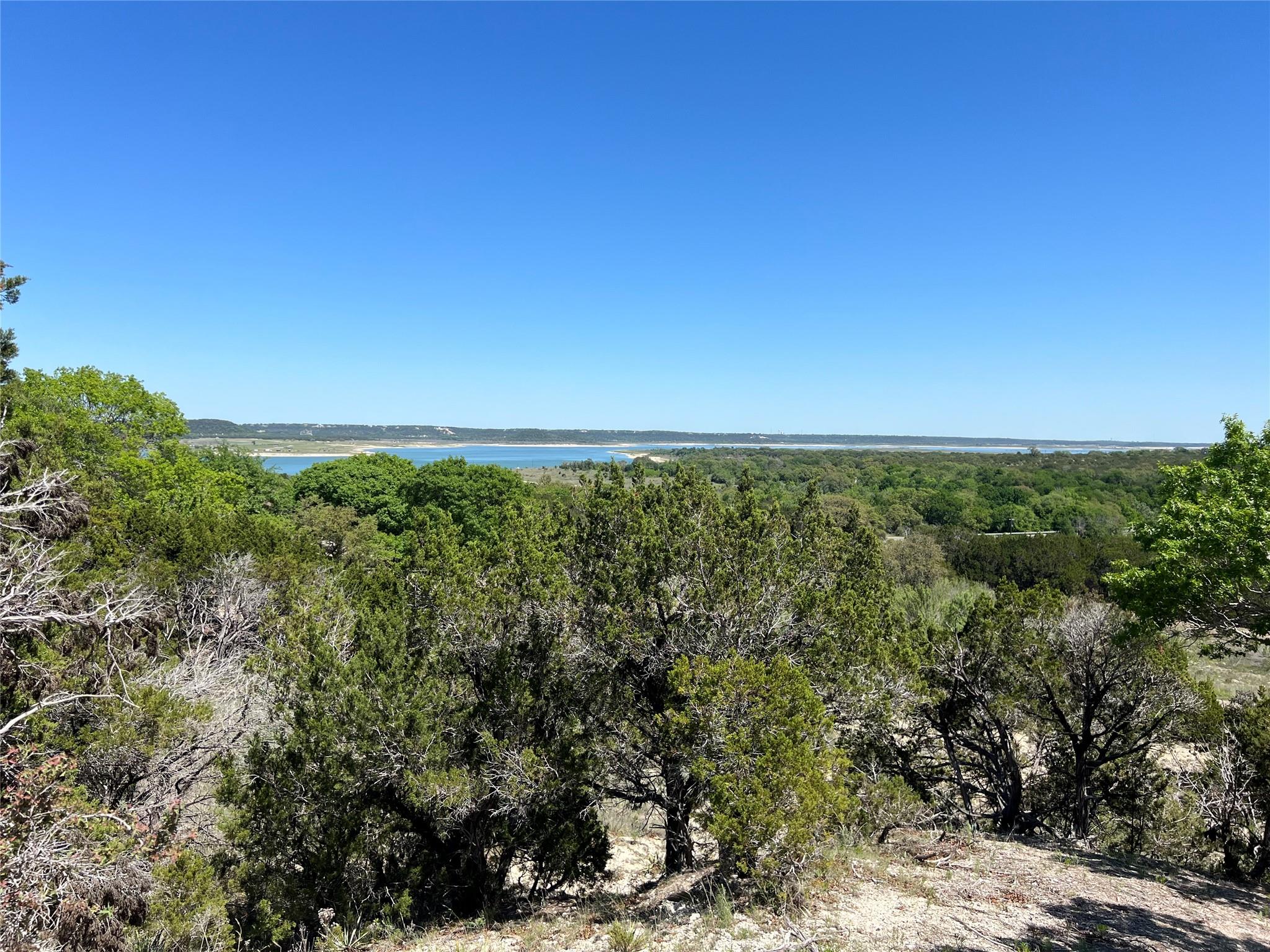 Water view featuring a forest