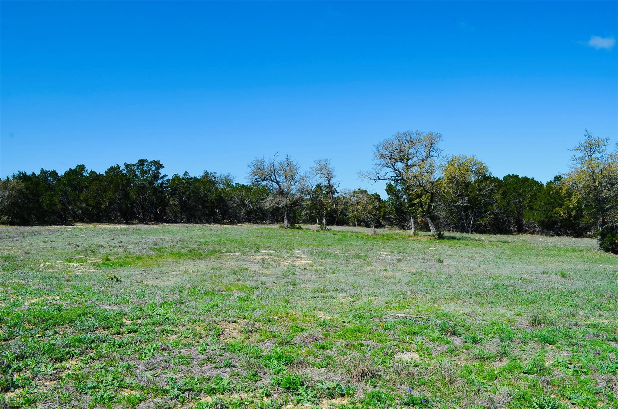 View of nature with rural landscape