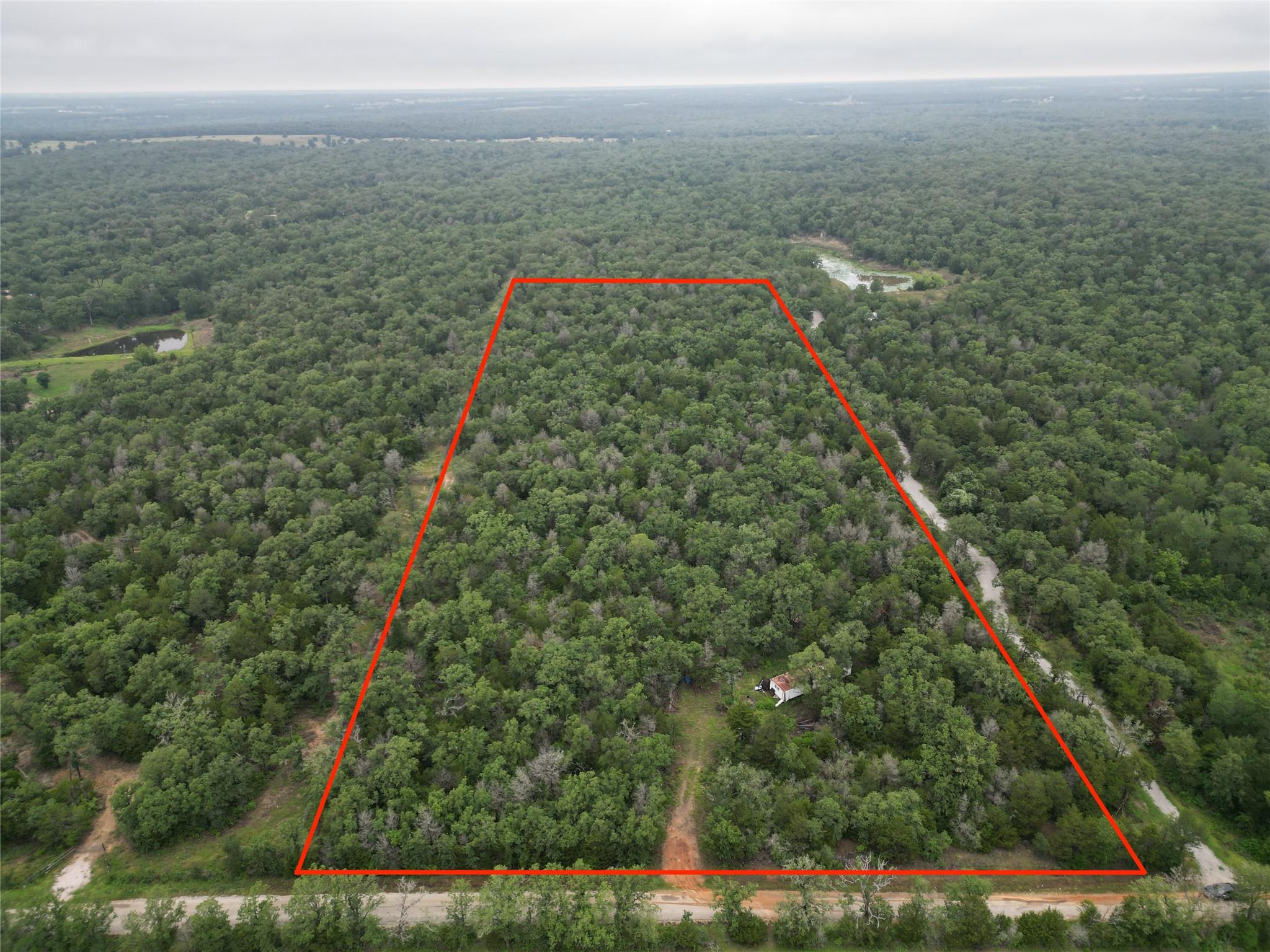 Vast, verdant acreage offers a secluded natural c
