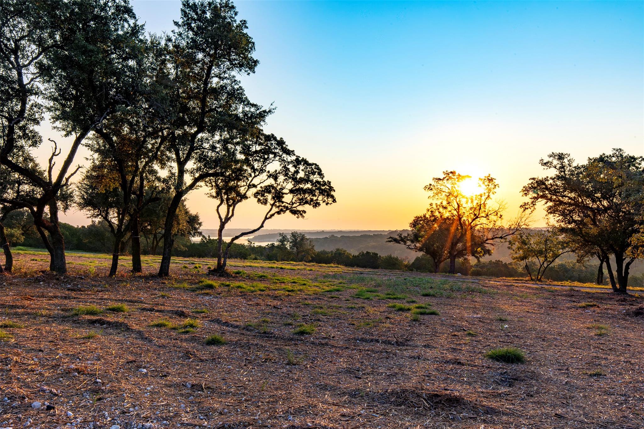 View of nature at dusk