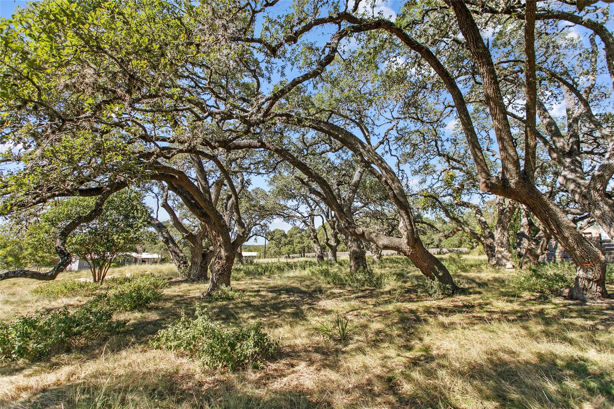 Listing photo 1 of 1316  Greenlawn Pkwy