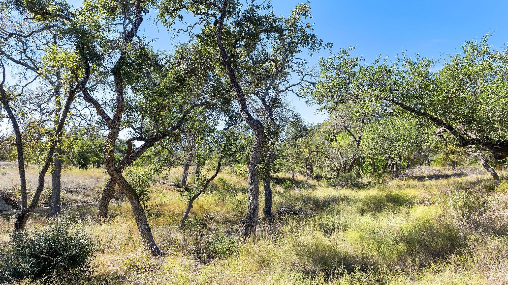 Listing photo 1 of Lot 18  Mesa Ranch Rd