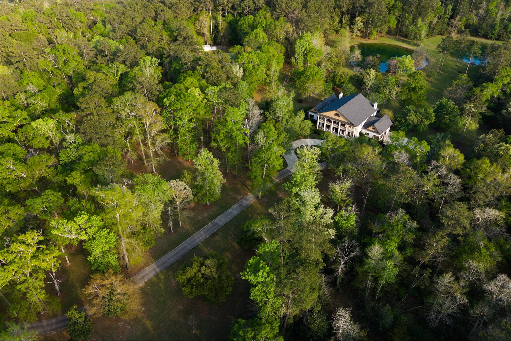 Aerial view of a heavily wooded area