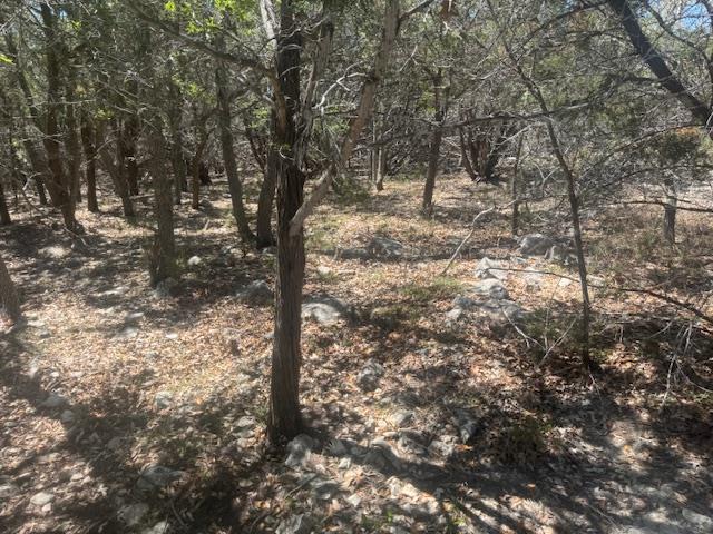 View of nature