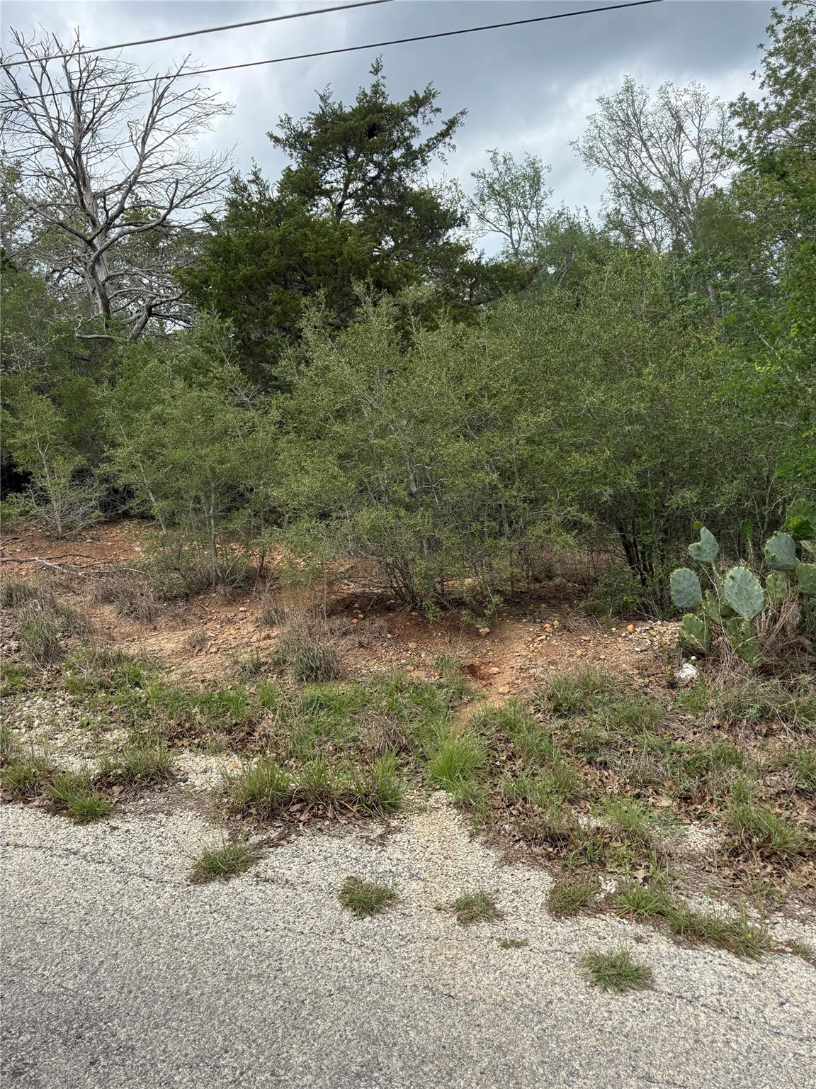 This property features natural vegetation and var
