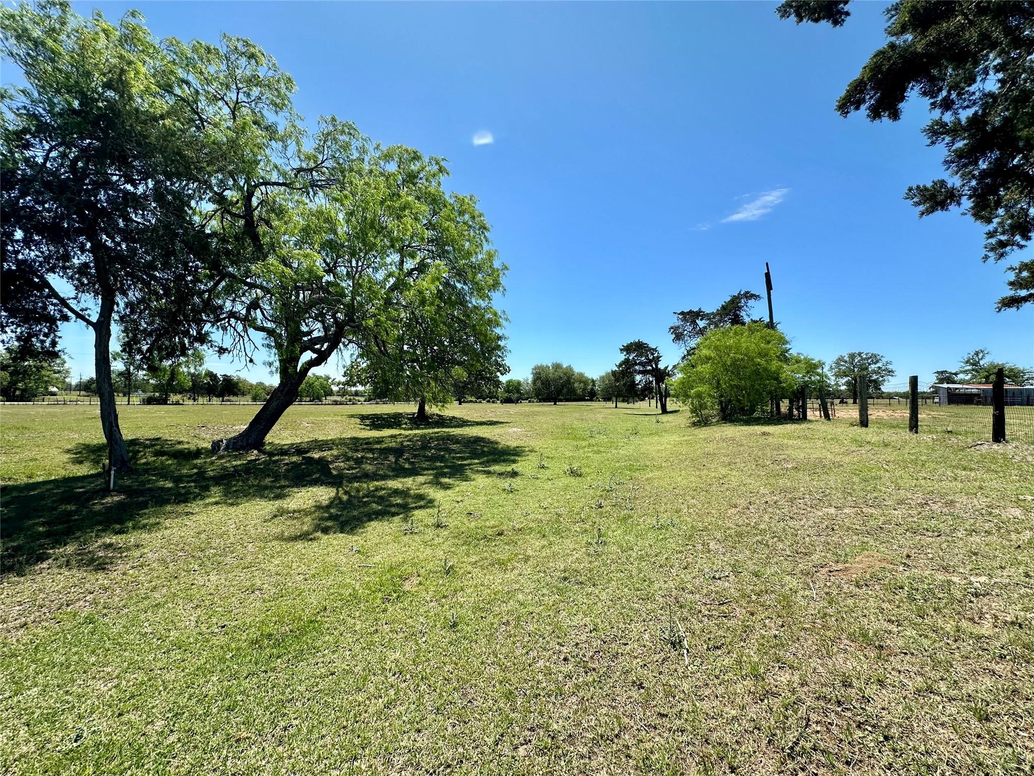 View of grassy yard
