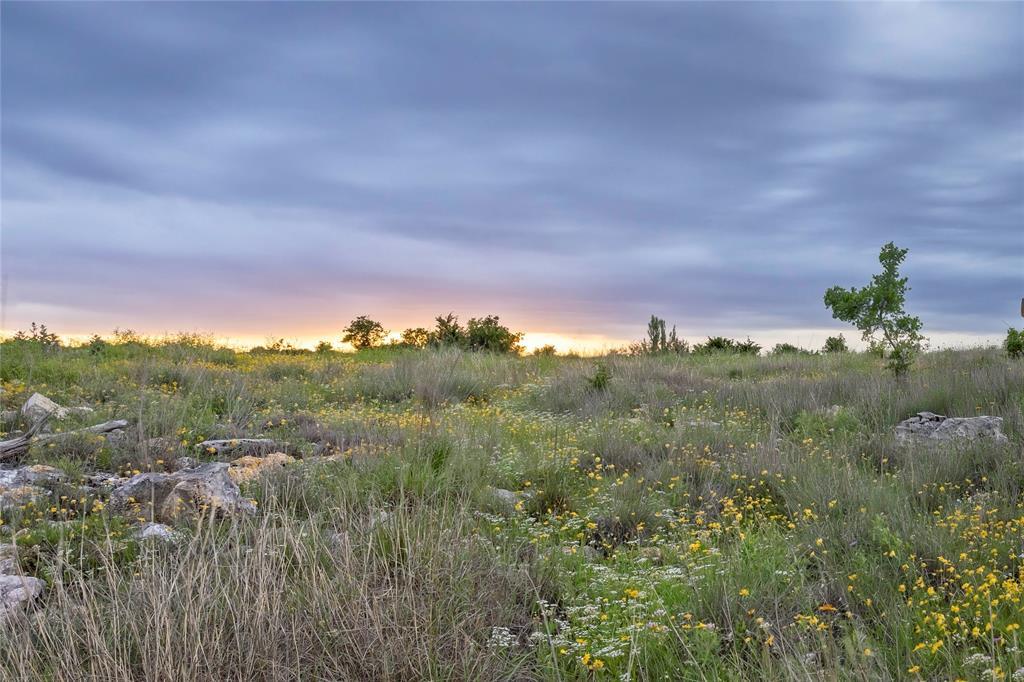 View of nature at dusk
