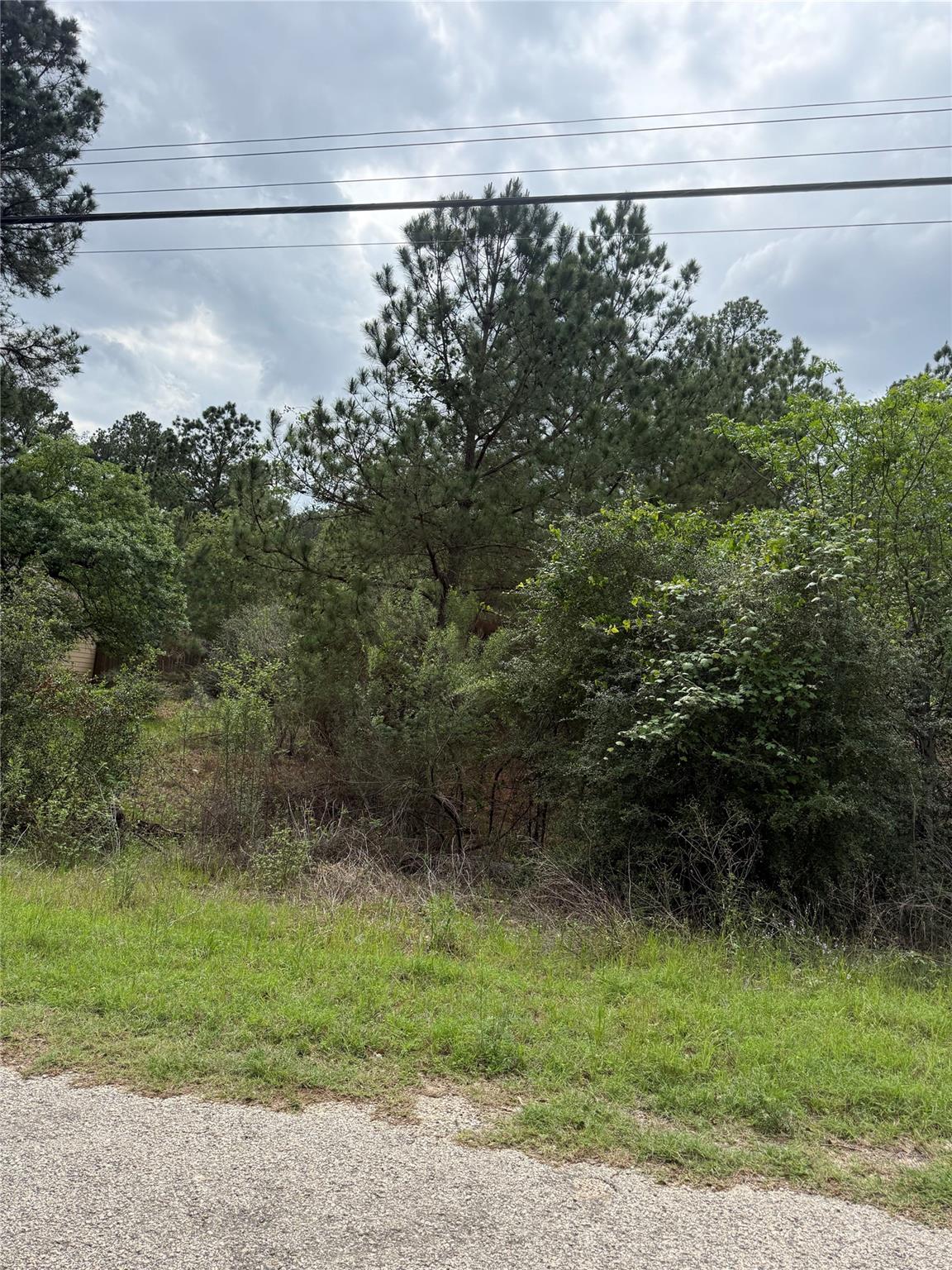 The property features a natural, wooded landscape