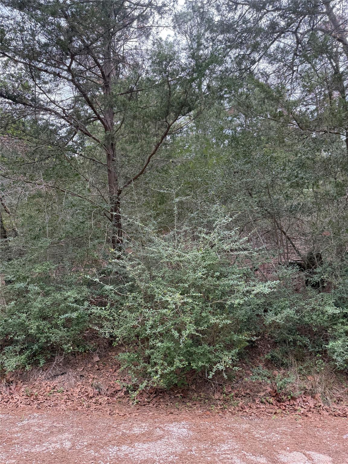 The property features an abundance of mature tree